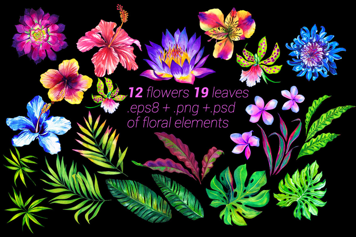 Aloha2 Tropical Kit, an Illustration by RosaPompelmo (Photo 2 of 5)