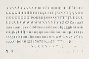 Morlique Serif Font, a Serif Font by Only Fonts (Thumbnail 10 of 11)