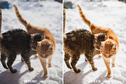 10 CAT Lightroom Presets, a Preset Add-On by MaPresets (Thumbnail 2 of 15)