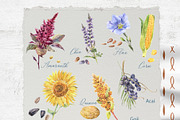 Superfood Menu Watercolor Creator, a Food Illustration by Cat In Colour (Thumbnail 3 of 10)