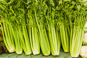 Green celery at the market