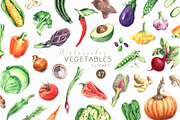 Watercolor VEGETABLES illustrations, a Decorative Illustration by GevelStudio (Thumbnail 1 of 9)