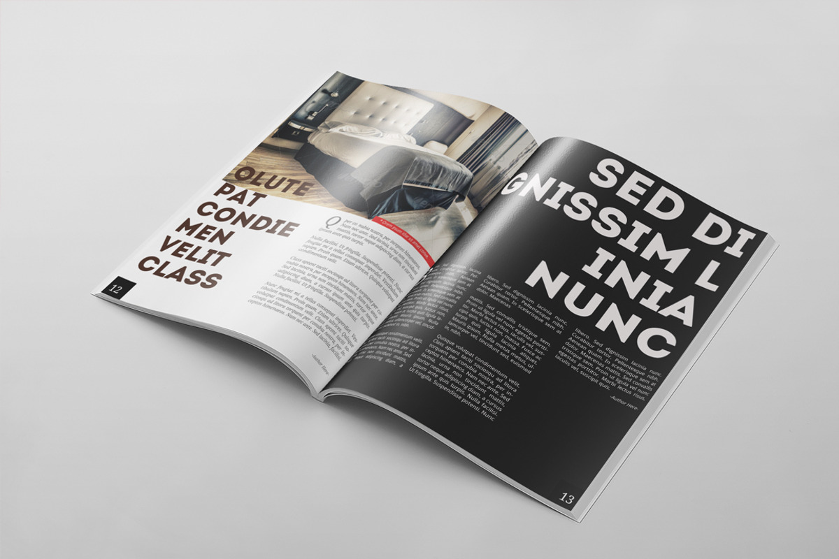 Magazine Template 30, a Magazine Template by pmvch (Photo 5 of 10)