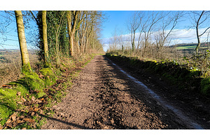 Peaceful dirt path through scenic, a Nature Photo by Lermont51