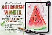 One Brush Wonder Watercolour, a Brush Add-On by SketchWerx (Thumbnail 1 of 12)