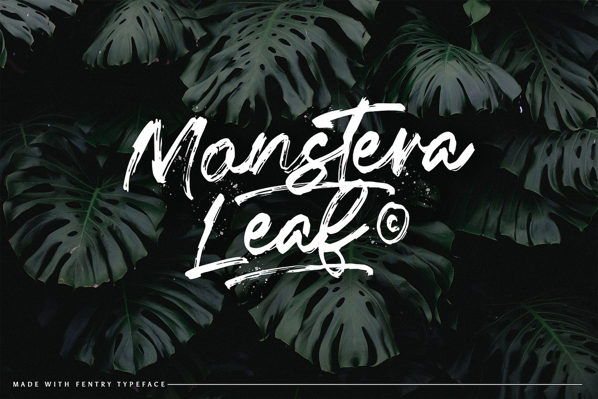 Fentry - Textured Brush Font, a Script Font by StringLabs (Photo 10 of 12)