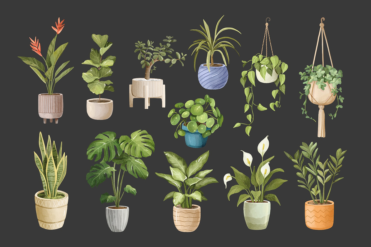 Watercolor Houseplants Clipart, an Object Illustration by ArtGiftsStudio (Photo 5 of 5)