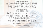 Bookish | Script Font, a Handwritten Font by Scratchones (Thumbnail 7 of 8)