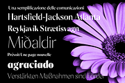 Milago Font Family, a Sans Serif Font by OzType (Thumbnail 3 of 11)