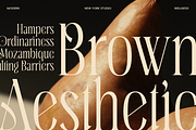 Aqila - Condensed Luxury Font, a Serif Font by Sensatype (Thumbnail 6 of 12)