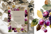 Watercolor Plum Bouquet Clipart, a Decorative Illustration by ThaismotaCreativeCo (Thumbnail 8 of 12)