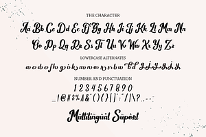 Wild Rhytm Handwritten Font