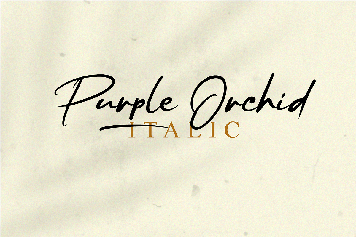 Purple Orchid // Fresh Typeface, a Script Font by GDcreative (Photo 2 of 10)