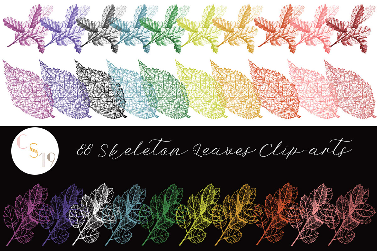 88 Skeleton Leaves PNG, an Object Graphic by Alexandra Fulger (Photo 2 of 6)