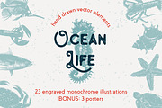 Ocean life hand drawn sketches, an Animal Illustration by Akimo Mia (Thumbnail 1 of 7)