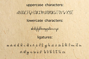 Sherlock calligraphy script font, a Script Font by Gennadi Digital Studio (Thumbnail 4 of 5)