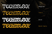 Ranvel, a Serif Font by Letterara (Thumbnail 7 of 11)