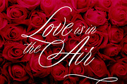 Duende Script Set, a Script Font by Aerotype (Thumbnail 4 of 14)
