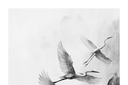 Gret Collection · Egrets in Flight, an Animal Illustration by milatovar (Thumbnail 14 of 17)