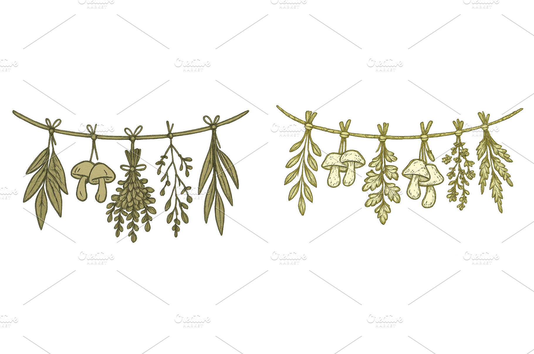 Hanging herbs and mushrooms, an Animal Photo by ZinetroN