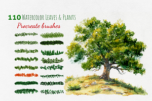 Procreate Leaves and Plants bundle