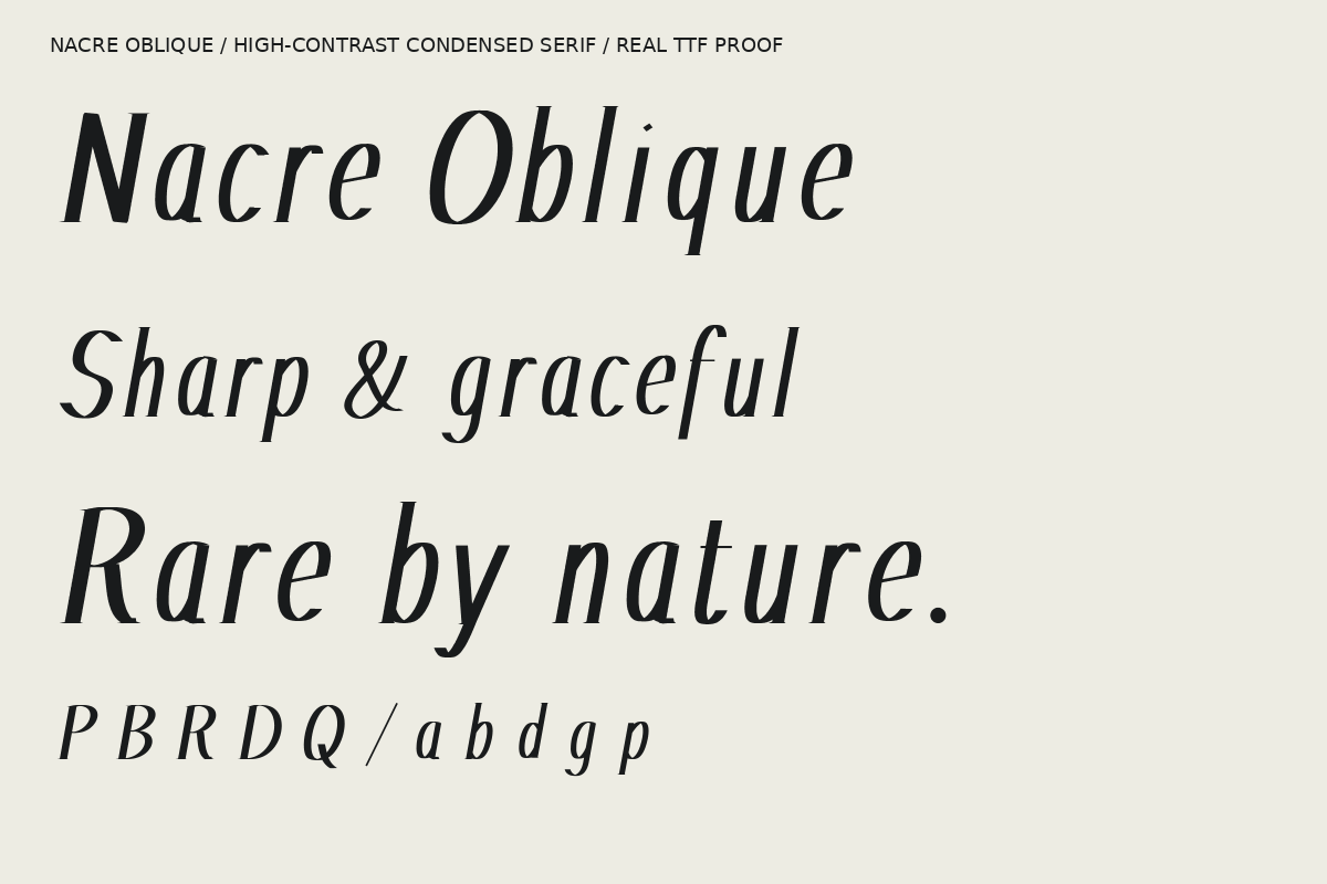 Nacre Oblique Editorial, a Serif Font by Colorsfav (Photo 11 of 11)