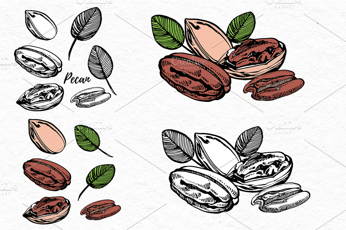 Nuts and snacks, a Food Illustration by Ann Astro (Photo 19 of 24)