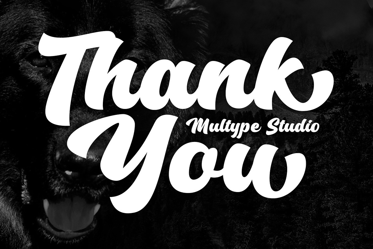 Kings Hutand Modern Bold Script, a Script Font by Multype Studio (Photo 15 of 15)