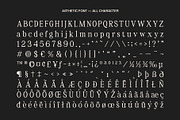 Asthetic - Nostalgic Serif Font, a Serif Font by Craft Supply Co. (Thumbnail 7 of 8)