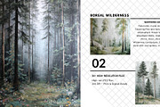 30+ Northern Conifer Forests Bundle, a Decorative Illustration by Virgo Studio (Thumbnail 3 of 6)