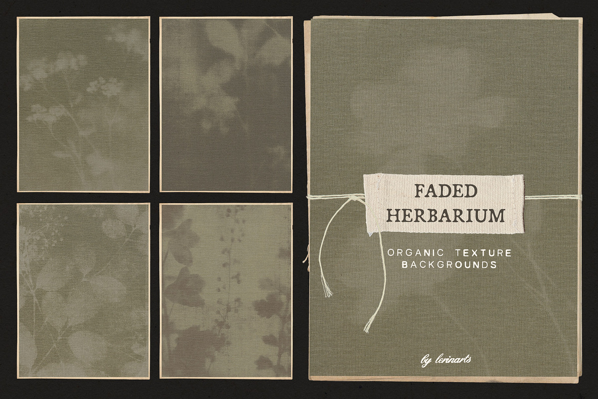 Faded Herbarium: Texture Backgrounds, a Texture Graphic by lerinartstudio (Photo 1 of 13)