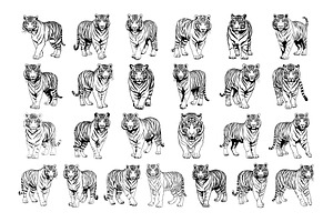 50 Tigers Procreate Stamps Brushes