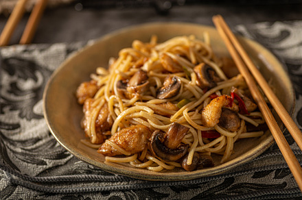 Chinese noodles with chicken, a Food & Drink Photo by Stepanek Photography