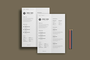 classic resume
