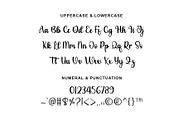 Santoria Elegant Script Font, a Script Font by Yuby Creative (Thumbnail 3 of 5)