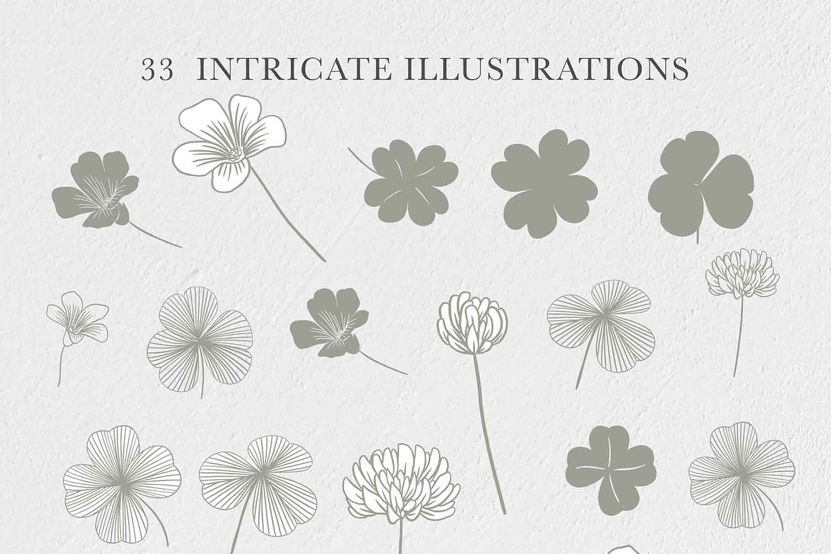 Clover Botanicals - Florals & Leaves, an Illustration by Momo Studio (Photo 5 of 12)