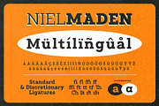 Nielmaden, a Slab Serif Font by Drizy (Thumbnail 7 of 9)