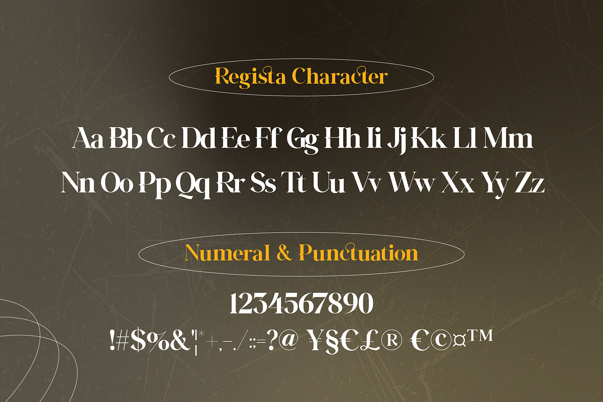 Regista - Display Serif, a Serif Font by Lettermine (Photo 9 of 10)