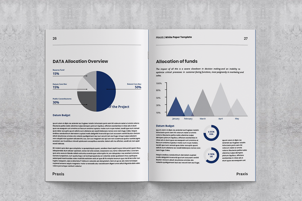 White Paper Template, a Brochure Template by azadcsstune (Photo 15 of 15)