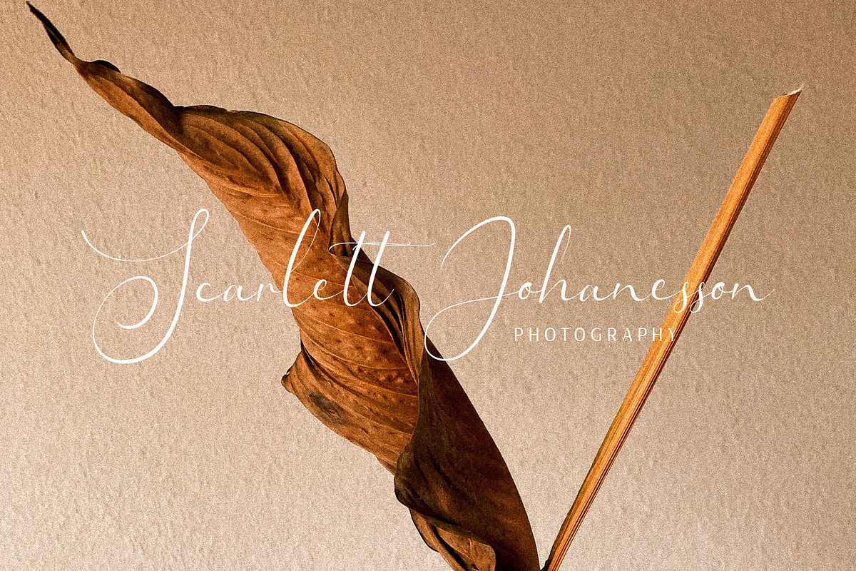 Kalidony - Lovely Font, a Script Font by Arterfak Project (Photo 4 of 14)