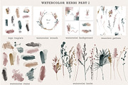 Watercolor herbs collection, a Decorative Illustration by Tatiana Davidova (Thumbnail 3 of 8)
