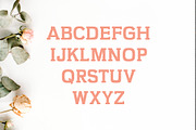 Kaayla Slab Serif Font Pack, a Slab Serif Font by Creativetacos (Thumbnail 2 of 3)