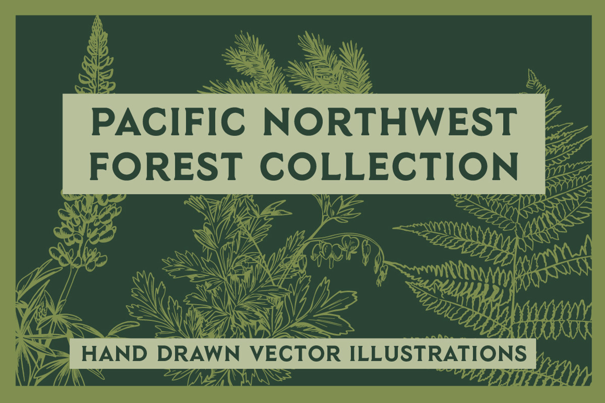 Pacific Northwest Illustrations, an Illustration by Instinct Design Co (Photo 1 of 3)