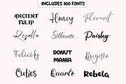 100 Handwritten Script Fonts Bundle, a Script Font by Fonteca (Thumbnail 2 of 10)