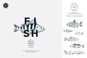 The Freshwater Fish Collection, an Animal Illustration by dicreate (Thumbnail 1 of 6)