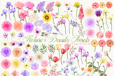 163 Nature's Beauty Floral Elements