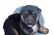 Puppies Dog Breeds Big Bundle 135Pcs, an Animal Illustration by Dneprstock (Thumbnail 56 of 68)