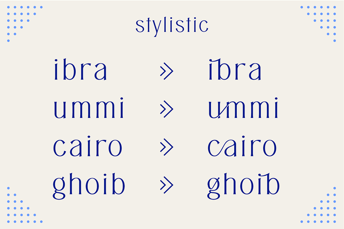 Asides - Family Serif Font, a Serif Font by ManType (Photo 4 of 8)