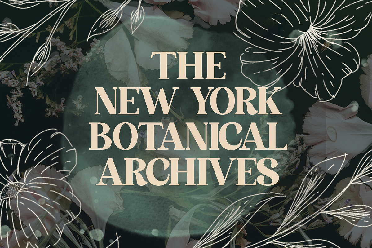 HUNTRO - Elegant Retro Serif Font, a Font by RHD Creative Studio (Photo 6 of 11)