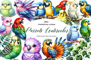 Parrots watercolor clipart,, an Illustration by CreationArt (Thumbnail 1 of 5)